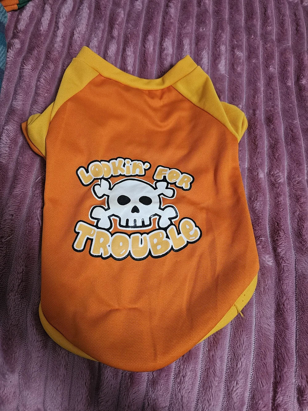 Orange Halloween Pumpkin & 'Looking For Trouble' Dog Tops